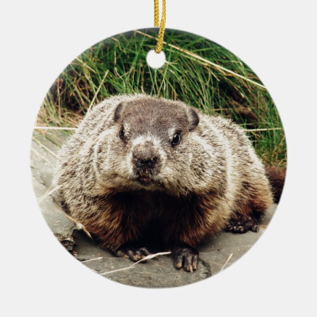Groundhog Ceramic Ornament (Front)