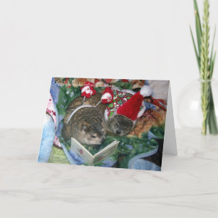 Groundhog Christmas Card
