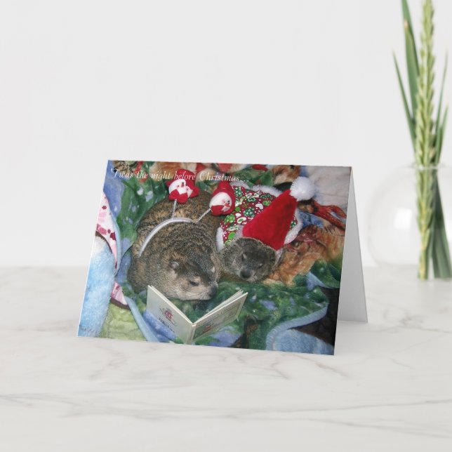 Groundhog Christmas Card (Front)