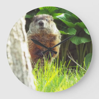 Groundhog clock