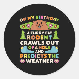 Groundhog Day Birthday Party Funny Furry Fat Roden Classic Round Sticker