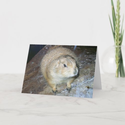 Groundhog Day Card