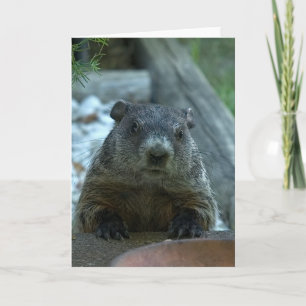 Groundhog Day! Card