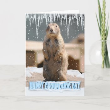 Groundhog Day Card  Happy Groundhog Day Card by moonlake at Zazzle