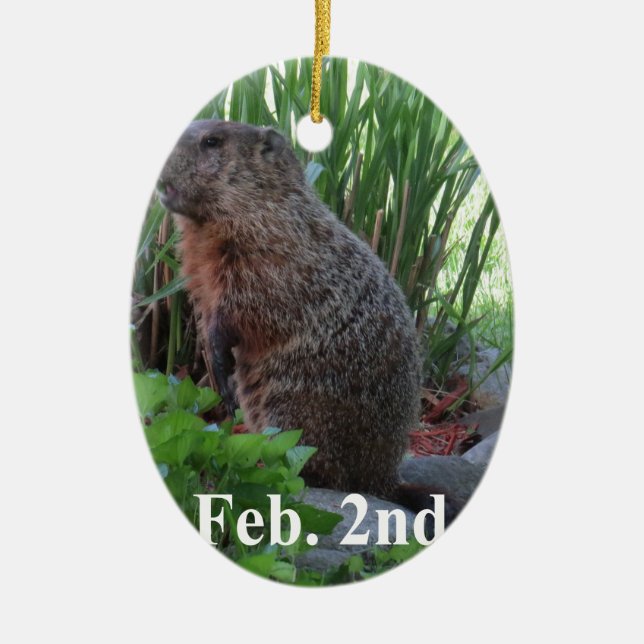 Groundhog Day Ceramic Ornament (Front)