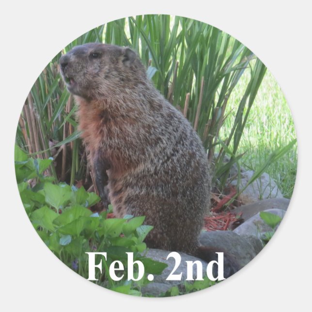Groundhog Day Classic Round Sticker (Front)