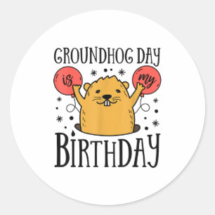 Groundhog Day Is My Birthday Funny Retro 80s Party Classic Round Sticker