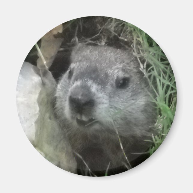 Groundhog Day Magnet (Front)
