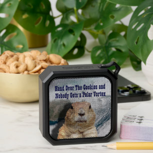 Groundhog Day Polar Vortex Bluetooth Speaker