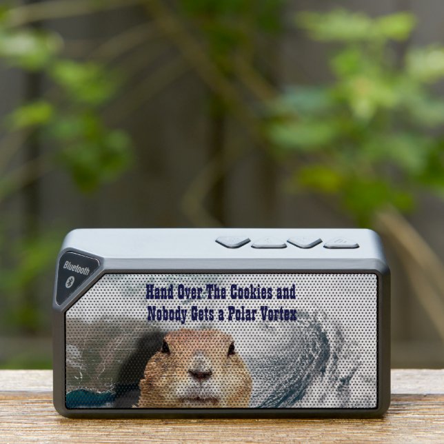 Groundhog Day Polar Vortex Bluetooth Speaker (Insitu(Outdoor))