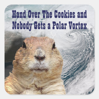 Groundhog Day Polar Vortex Square Sticker