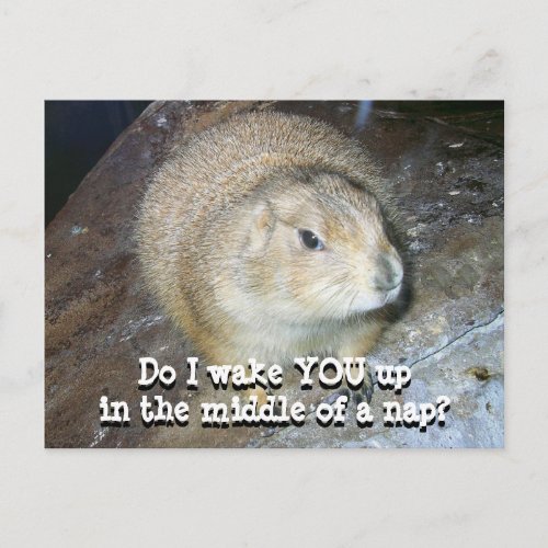 Groundhog Day Postcard