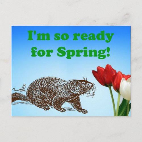 Groundhog Day So Ready for Spring Holiday