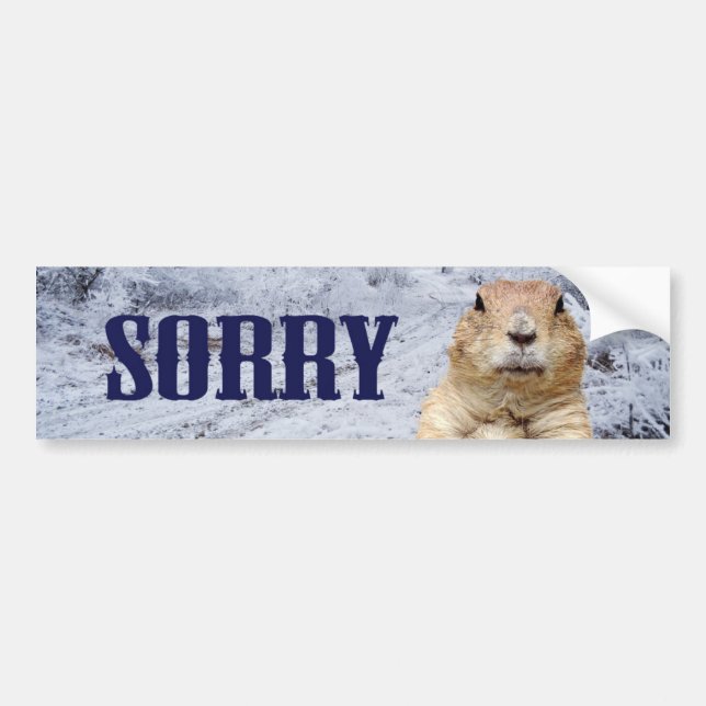 Groundhog Day Sorry Bumper Sticker (Front)
