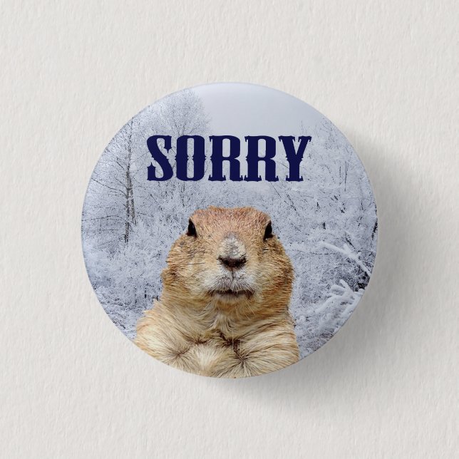 Groundhog Day Sorry Pinback Button (Front)