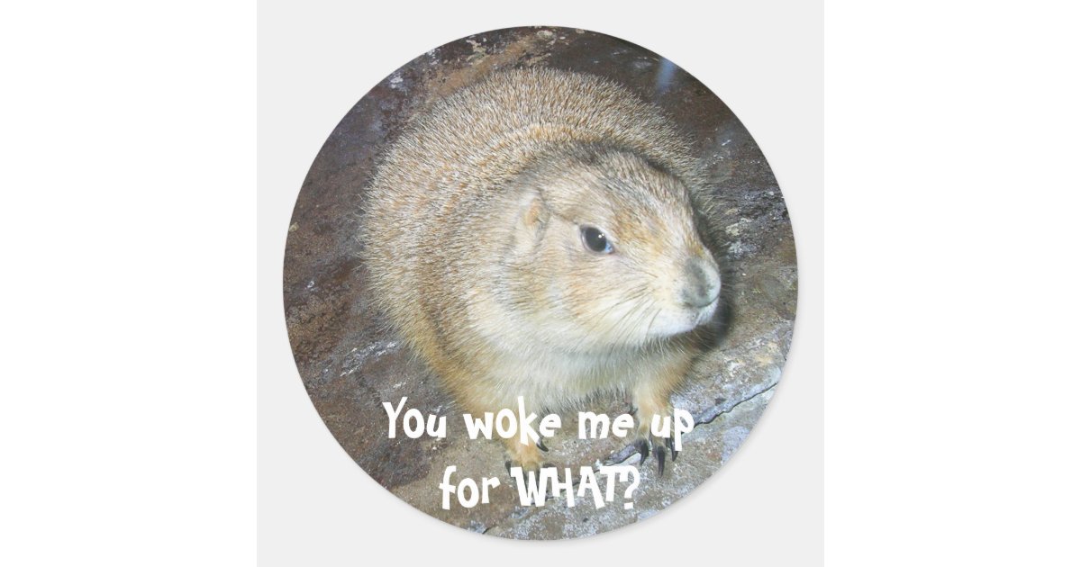 groundhog day stickers