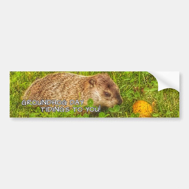 Groundhog Day tidings to you! bumper sticker (Front)