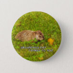 Groundhog Day tidings to you! button