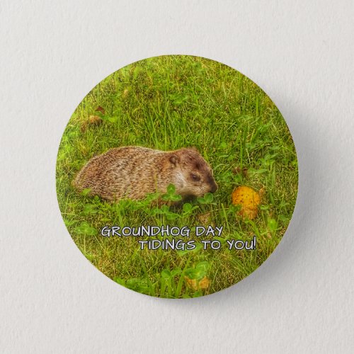Groundhog Day tidings to you button