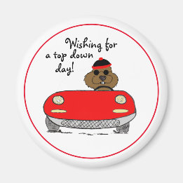 Groundhog Day | Top Down Magnet