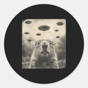 Groundhog Day Ufo Retro Graphic Vintage Alien Enco Classic Round Sticker
