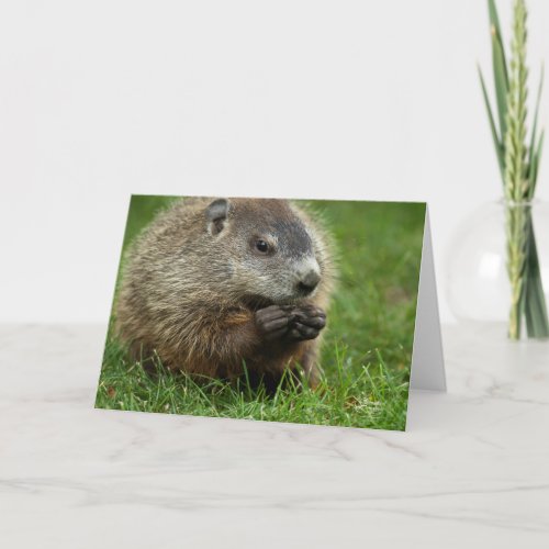 Groundhog Day Woody Card
