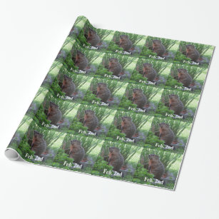 Groundhog Day Wrapping Paper