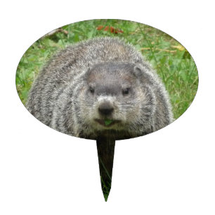Groundhog eating cake topper