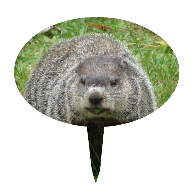 Groundhog eating cake topper (Front)
