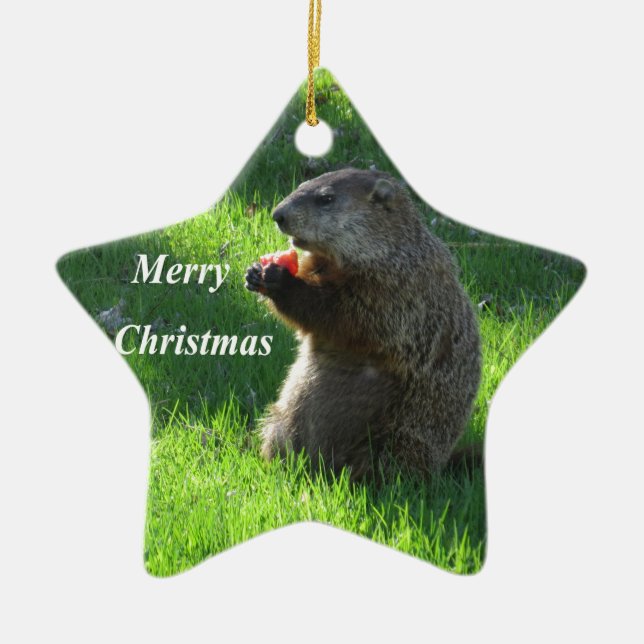 Groundhog eating ceramic ornament (Front)