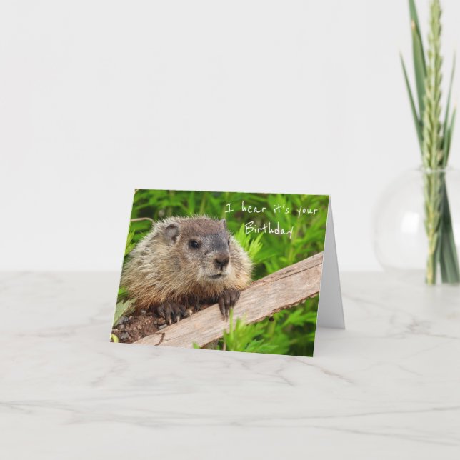 Groundhog Humor Birthday Cake Card (Front)