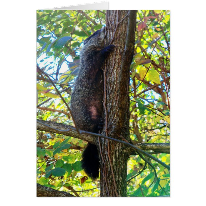 Groundhog I Miss You Greeting Card