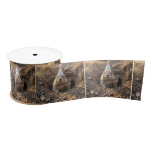 Groundhog In a Birthday Party Hat Satin Ribbon