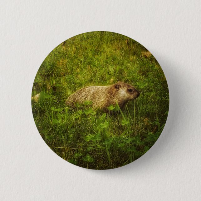 Groundhog in a field button (Front)