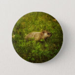 Groundhog in a field button