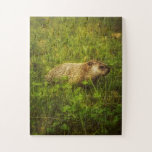 Groundhog in a field jigsaw puzzle