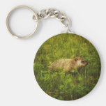 Groundhog in a field keychain