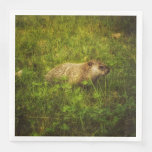 Groundhog in a field napkins
