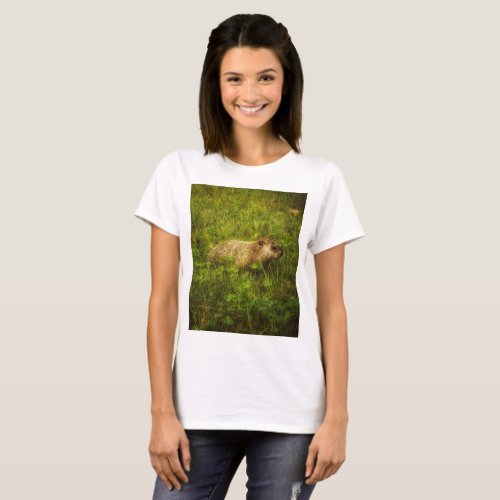 Groundhog in a field t_shirt