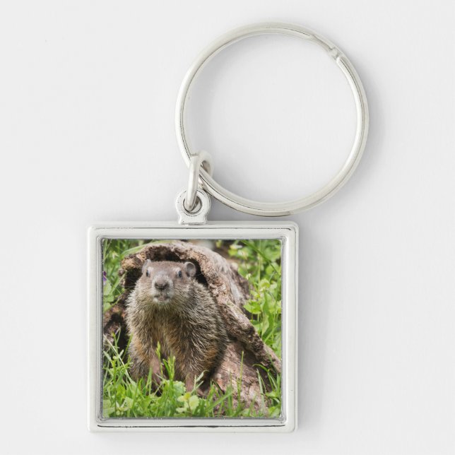 Groundhog in a Hollow Log Keychain (Front)