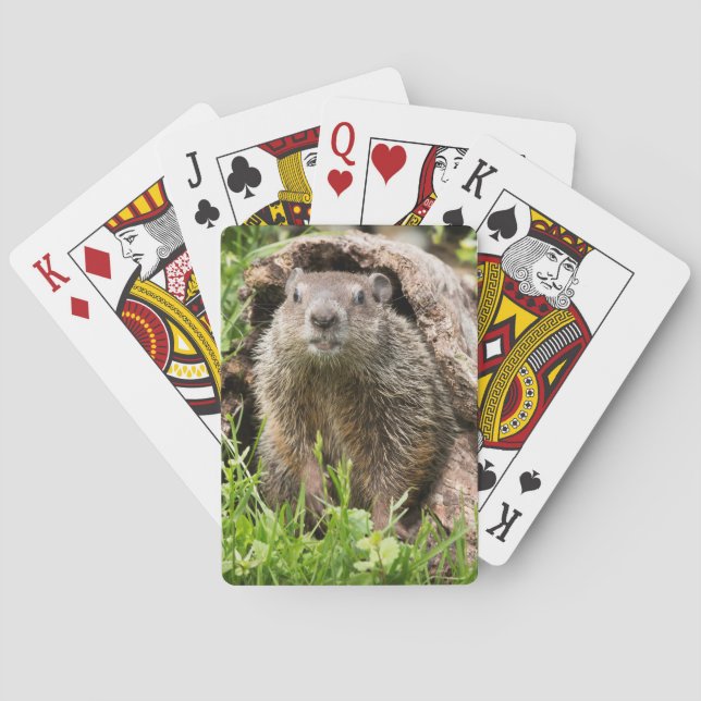 Groundhog in a Hollow Log Poker Cards (Back)