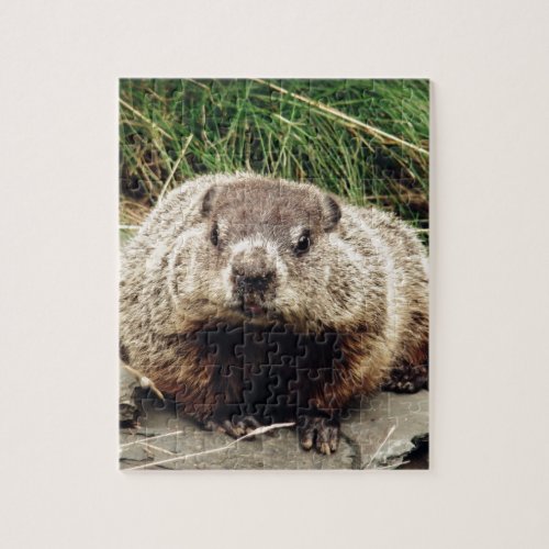 Groundhog Jigsaw Puzzle