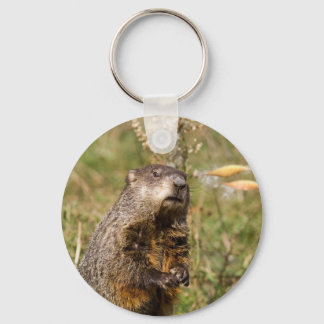 Groundhog Keychain