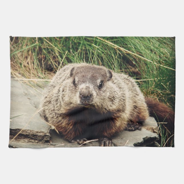 Groundhog Kitchen Towel (Horizontal)