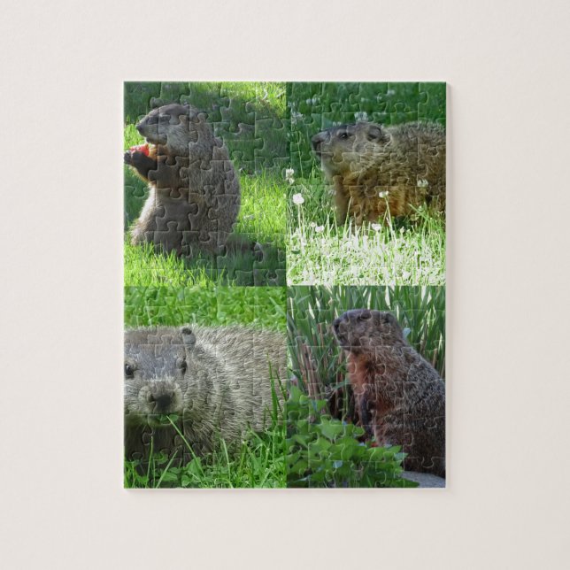 Groundhog Medley Jigsaw Puzzle