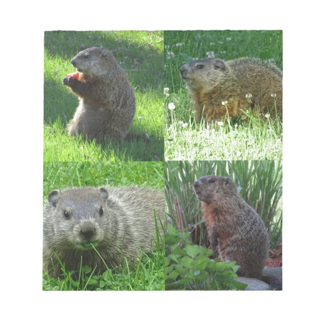 Groundhog Medley Notepad (Front)