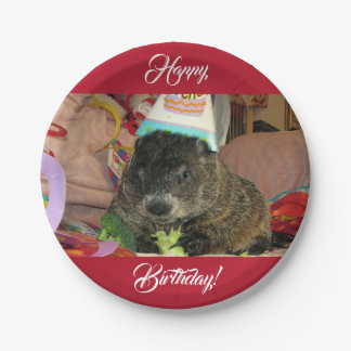 Groundhog Moses Birthday Paper Plates