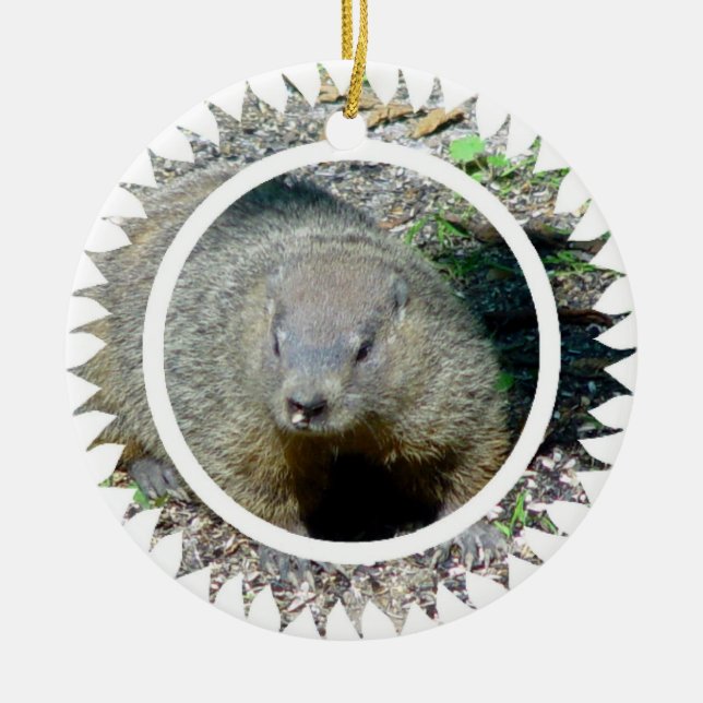 Groundhog Ornament (Front)