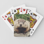 Groundhog Playing Cards at Zazzle