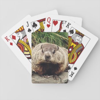 Groundhog Playing Cards by Zinvolle at Zazzle